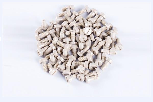 Parafuso PEEK Cabeça Redonda Ranhurada